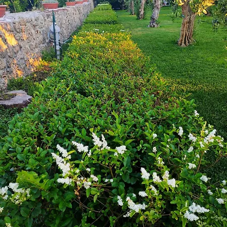 Il Giardino Di Athena 1 アパート パエストゥム