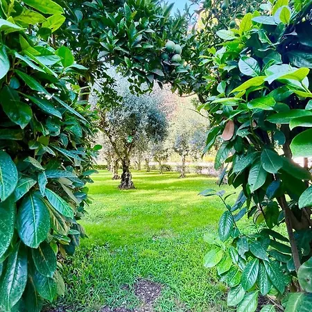 Il Giardino Di Athena 1 Apartment