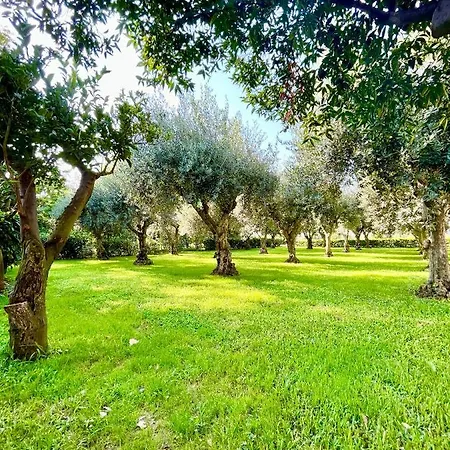 Il Giardino Di Athena 1