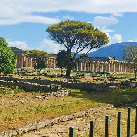 Il Giardino Di Athena 1