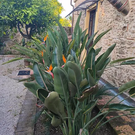 Il Giardino Di Athena 1